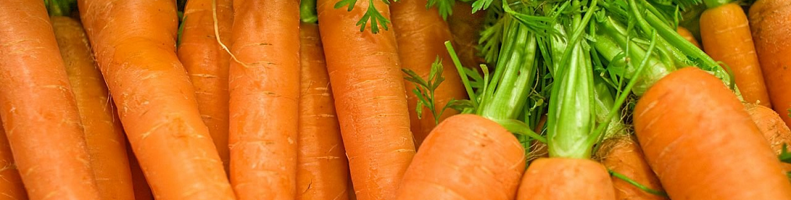 Морковь сушеная 300 грамм 